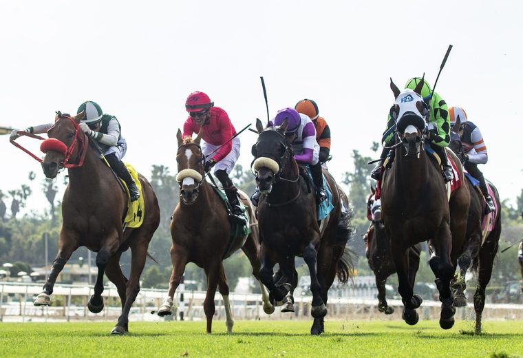 Santa Anita Park - Turf Action - Benoit Photo