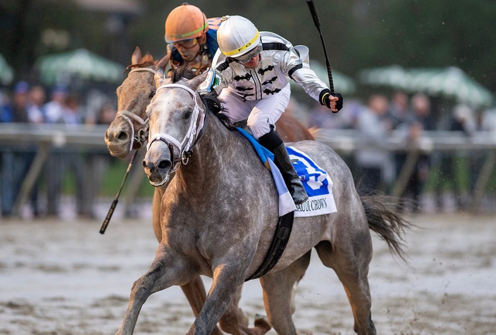 Saudi Crown - Pennsylvania Derby - Joe Labozzetta/EQUI-PHOTO