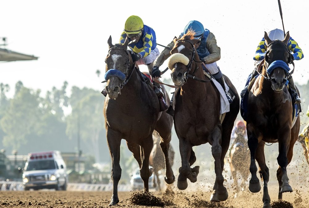 Subsanador - California Crown Stakes G1 - Benoit Photo EPR