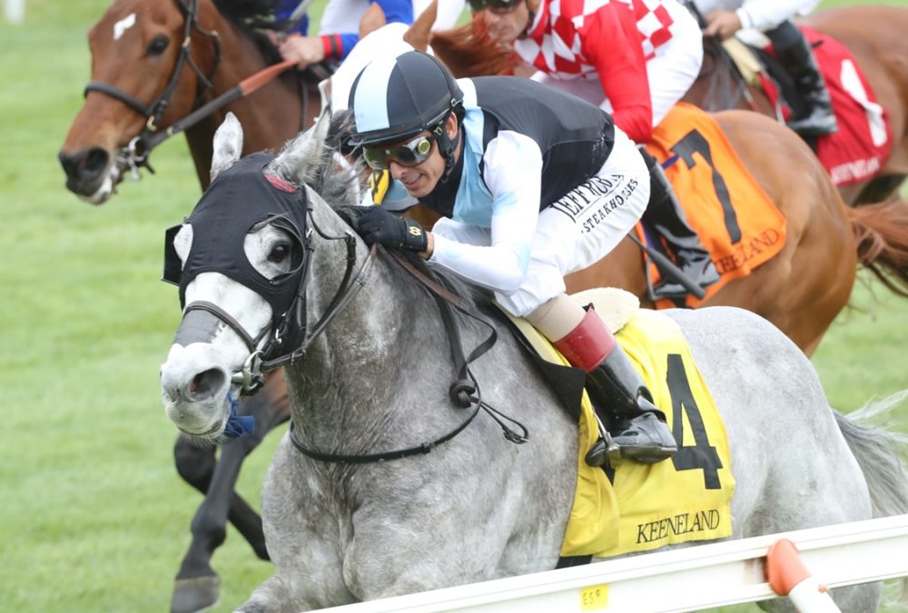 The Grey Wizard - Keeneland - Coady Media