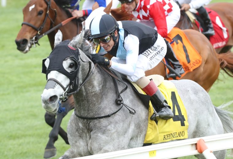 The Grey Wizard - Keeneland - Coady Media