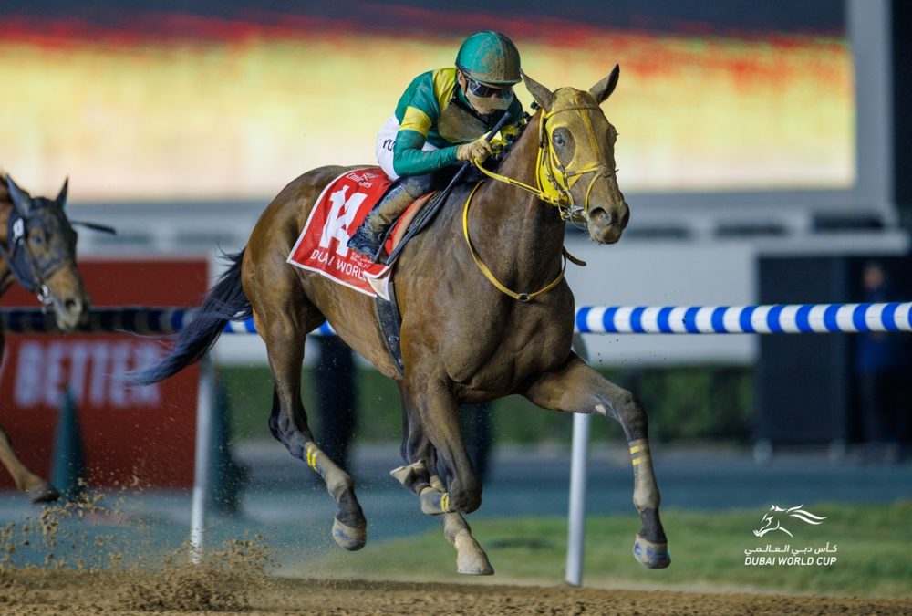 Ushba Tesoro - Dubai World Cup 2023 - Foto Dubai Racing Club