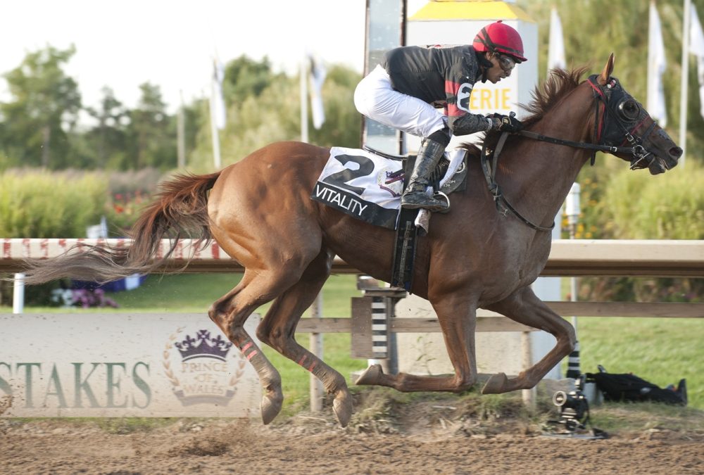 Vitality - Prince of Wales Stakes - Michael Burns