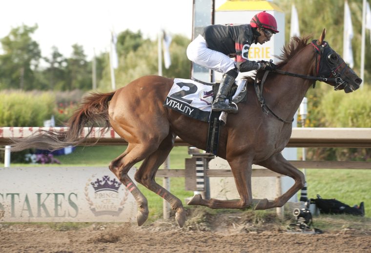 Vitality - Prince of Wales Stakes - Michael Burns