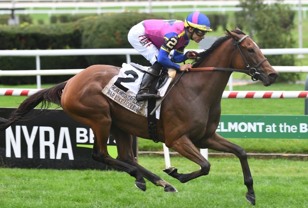 War Like Goddess - Turf Classic - Coglianese Photo