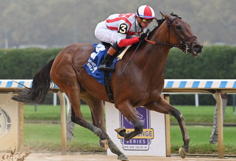 Ways and Means - Gallant Bloom S. - Coglianese Photo