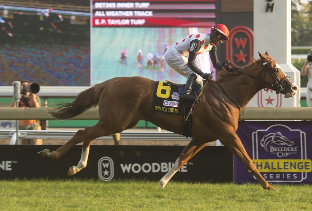 Win-for-the-Money-Woodbine-Mile-G1T-Michael-Burns