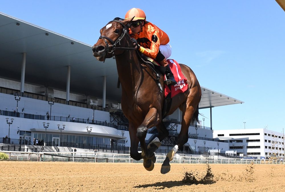 With the Angels - Joseph A. Gimma Stakes - Coglianese Photo