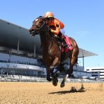 With the Angels - Joseph A. Gimma Stakes - Coglianese Photo