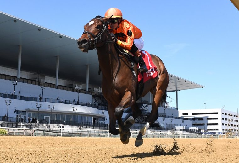 With the Angels - Joseph A. Gimma Stakes - Coglianese Photo