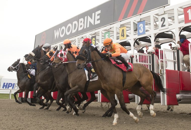 Woodbine Scenic Start - Michael Burns