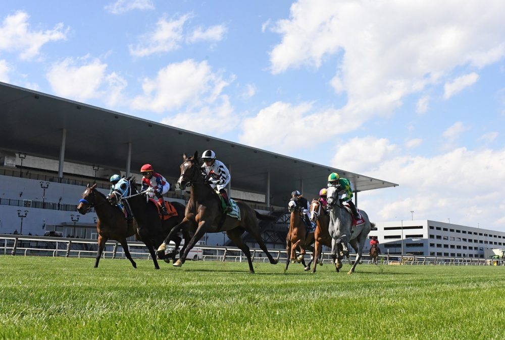 Aqueduct turf scenic - Coglianese Photo