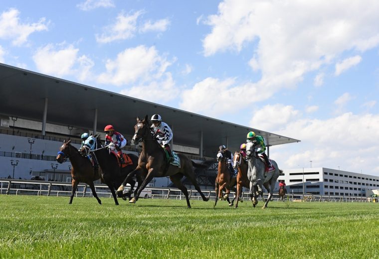 Aqueduct turf scenic - Coglianese Photo