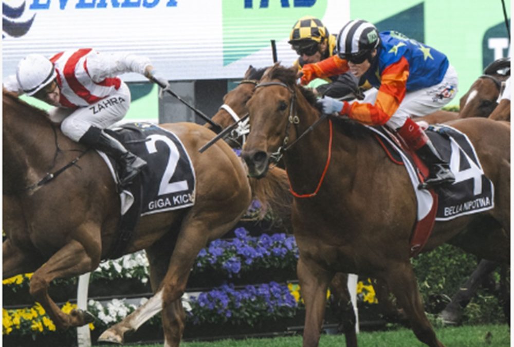 Bella Nipotina - TAB Everest - Australian Racing Club/Royal Randwick