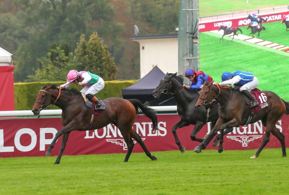 Bluestocking - Arc de Triomphe - Scoop Dyga