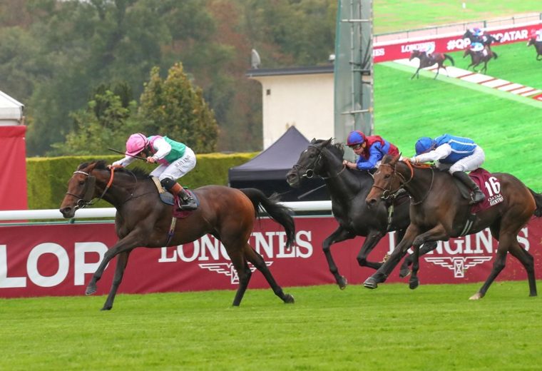 Bluestocking - Arc de Triomphe - Scoop Dyga