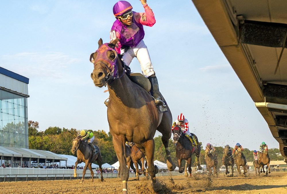 Brilliant Ice - Maryland Million Classic - Jeff Snyder