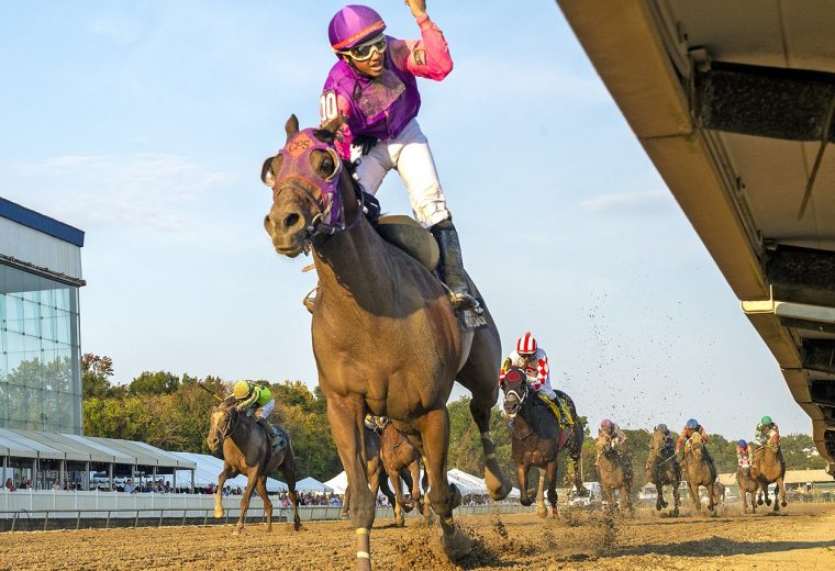 Brilliant Ice - Maryland Million Classic - Jeff Snyder