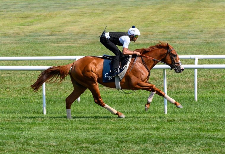 Carl Spackler - Coglianese Photos