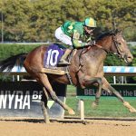 Chancer McPatrick - Champagne Stakes G1 - Coglianese Photo