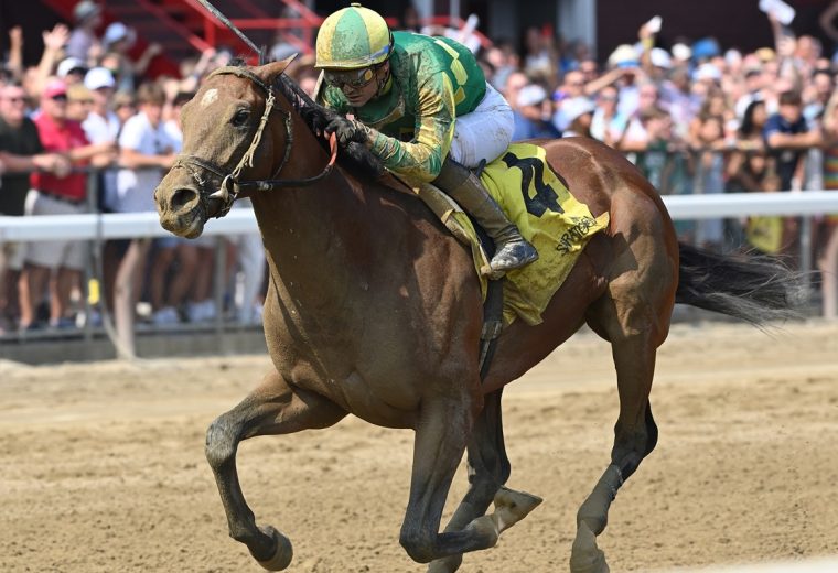 Chancer McPatrick - Saratoga - Coglianese Photo