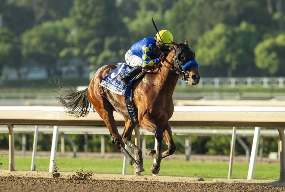 Citiezen Bull - American Pharoah Stakes G1 © BENOIT PHOTO