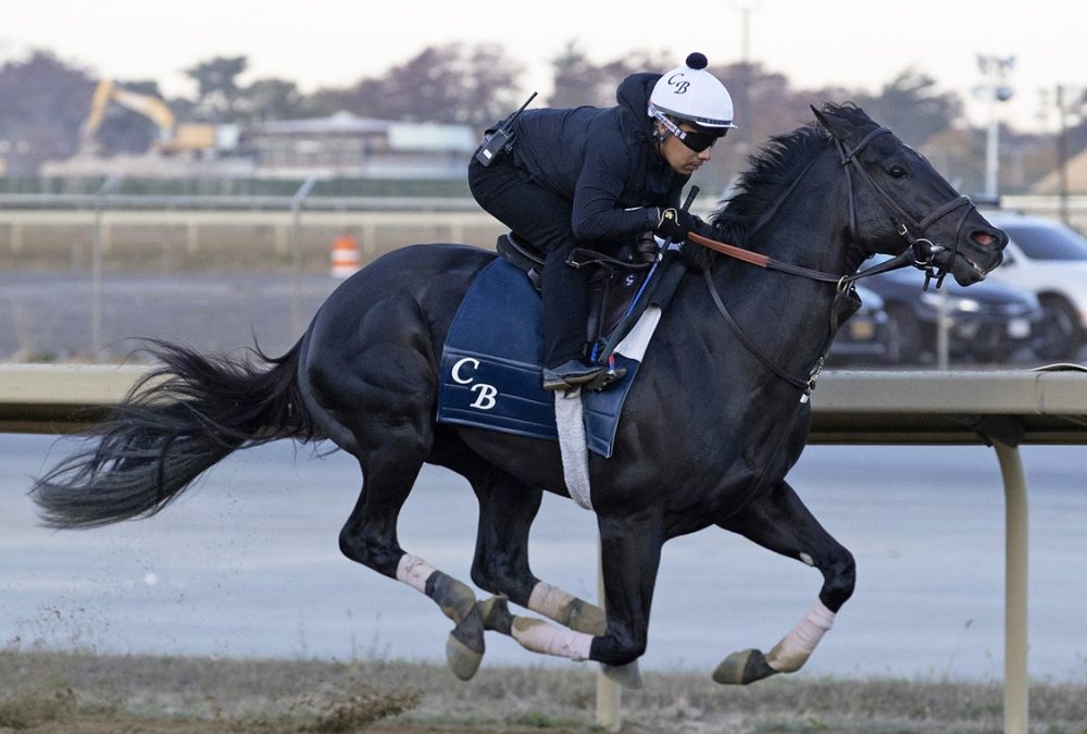 Domestic Product - Belmont Training Track - Susie Raisher