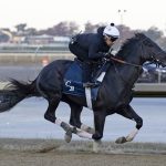 Domestic Product - Belmont Training Track - Susie Raisher