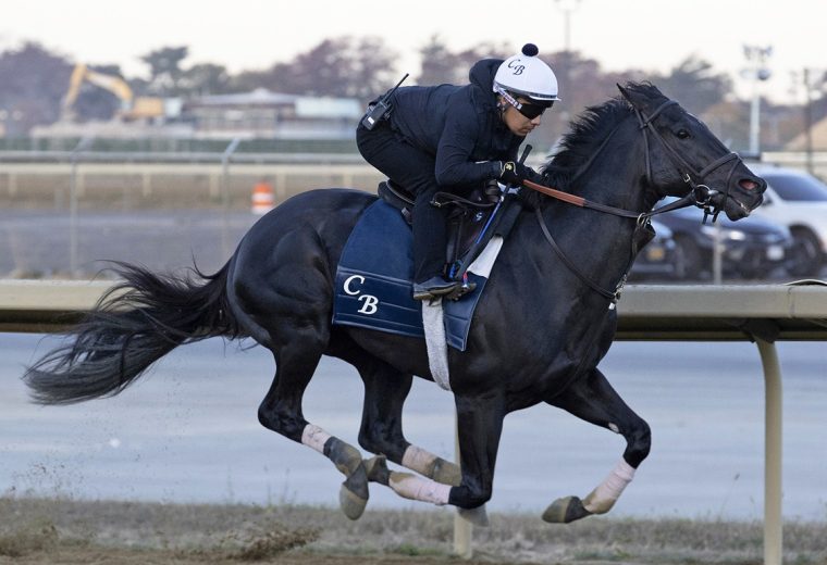 Domestic Product - Belmont Training Track - Susie Raisher