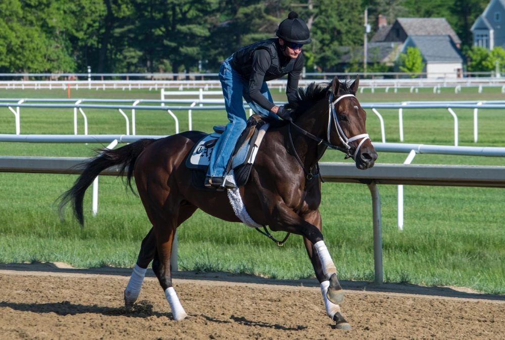 Fierceness - Coglianese Photo