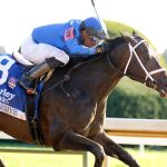 Immersive - Alcibiades Stakes G1 - Coady Media