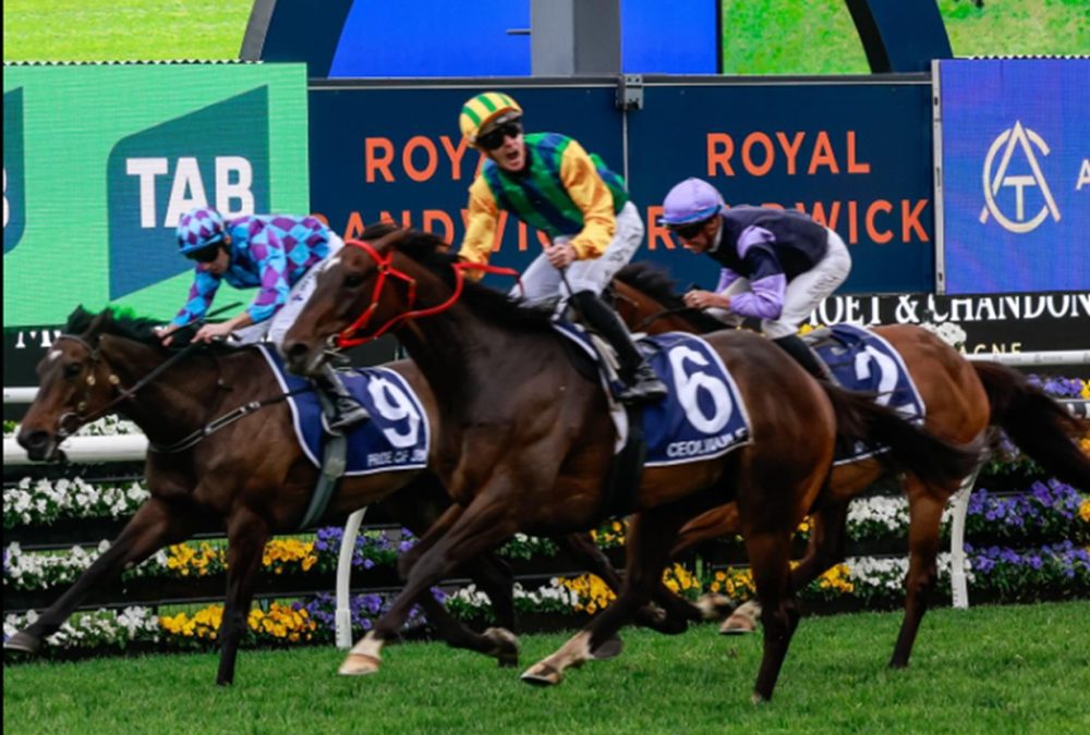 Ceolwulf (NZ) - King Charles III Stakes - Australian Racing Club/Royal Randwick