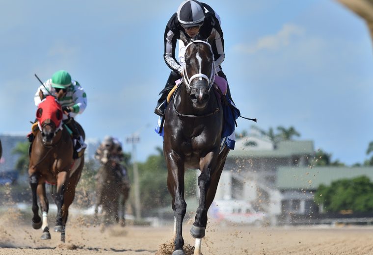 R Morning Brew - Desert Vixen Stakes - Ryan Thompson/Coglianese Photos