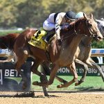 Raging Sea - Aqueduct - Coglianese Photo