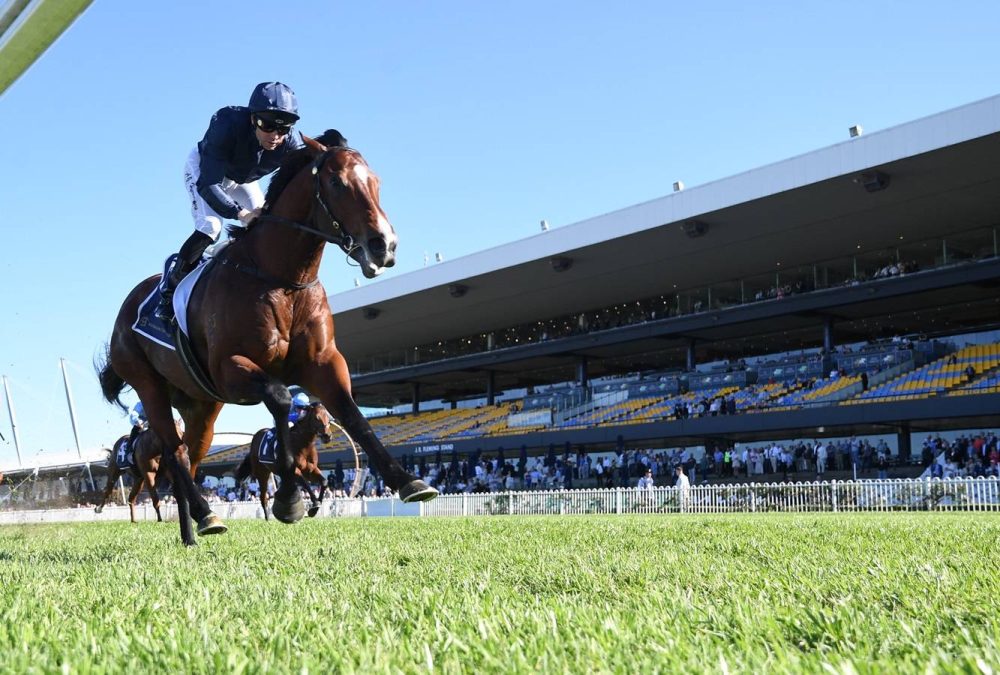 Storm Boy - Sky Racing World