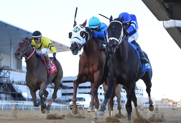 Tarifa - Mother Goose S. - Coglianese Photo