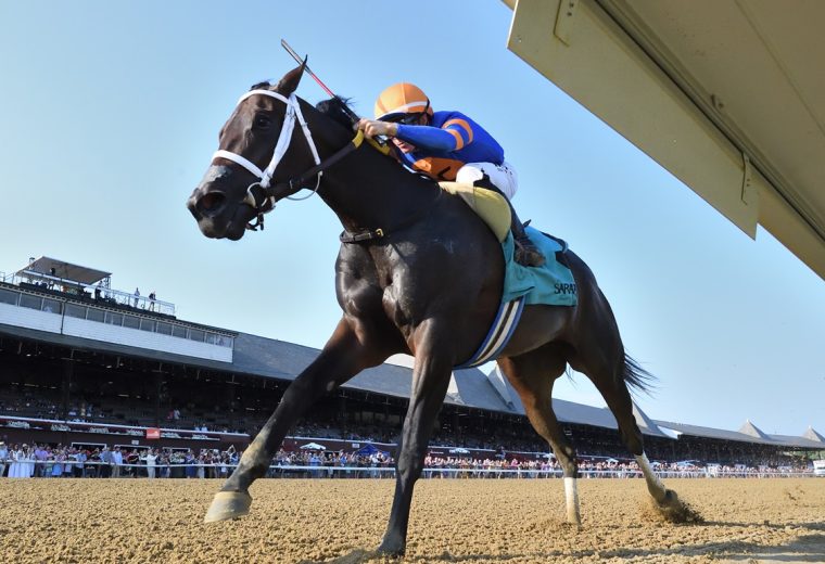 The Queens M G - Adirondack Stakes G3 - Coglianese Photo