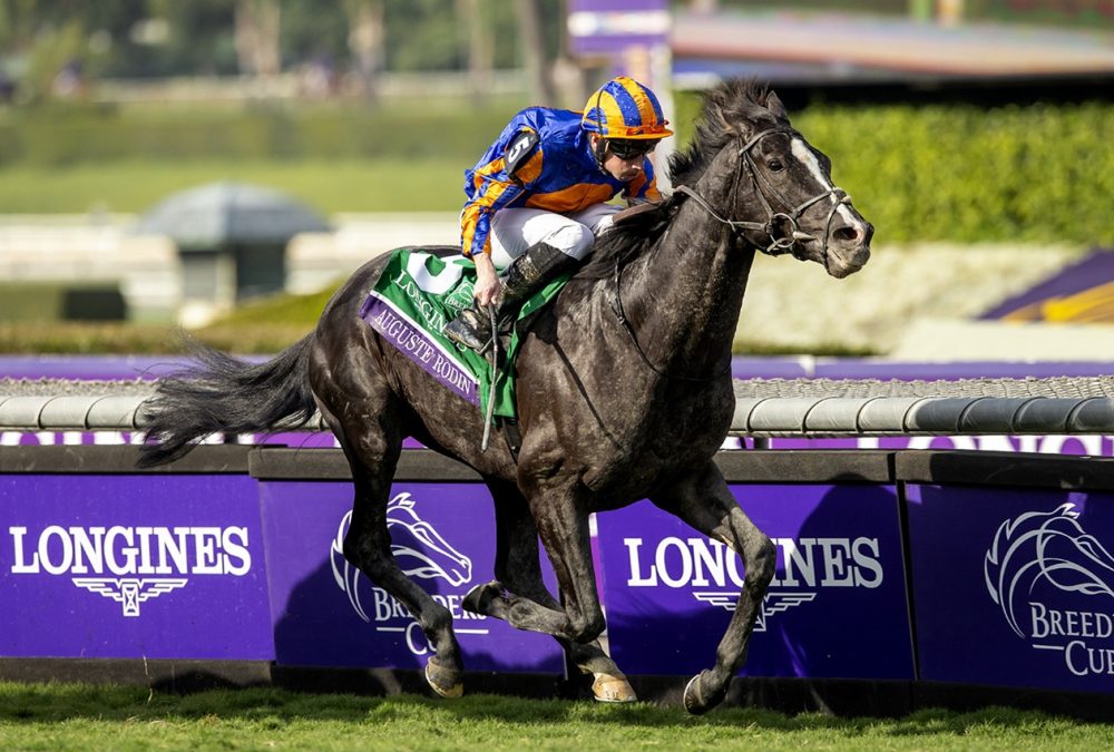 Auguste Rodin - Breeders' Cup Turf - Benoit Photo