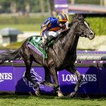 Auguste Rodin - Breeders' Cup Turf - Benoit Photo