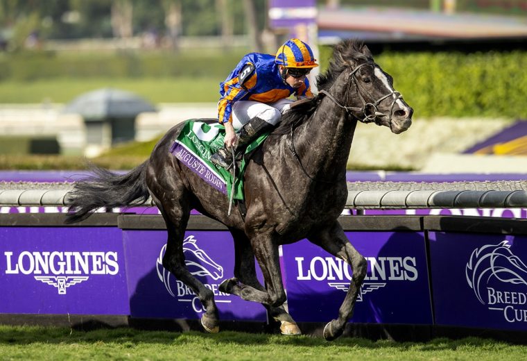 Auguste Rodin - Breeders' Cup Turf - Benoit Photo