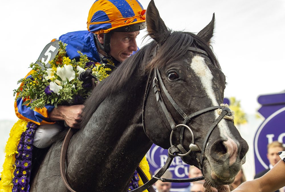 Auguste Rodin and jockey Ryan Moore win the Grade I $4,000,000 Longines Breeders' Cup Turf Saturday November 4, 2023 at Santa Anita Park, Arcadia, CA. Benoit Photo.