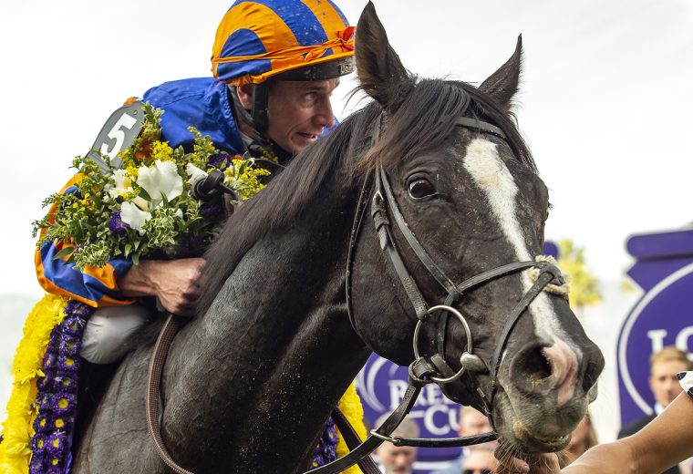 Auguste Rodin and jockey Ryan Moore win the Grade I $4,000,000 Longines Breeders' Cup Turf Saturday November 4, 2023 at Santa Anita Park, Arcadia, CA. Benoit Photo.