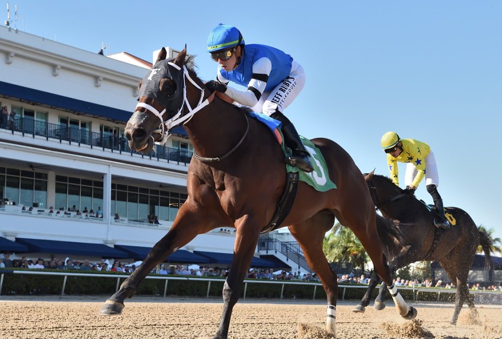 Big Paradise - Juvenile Sprint Stakes - Ryan Thompson/Coglianese Photo