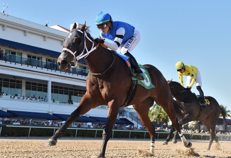 Big Paradise - Juvenile Sprint Stakes - Ryan Thompson/Coglianese Photo