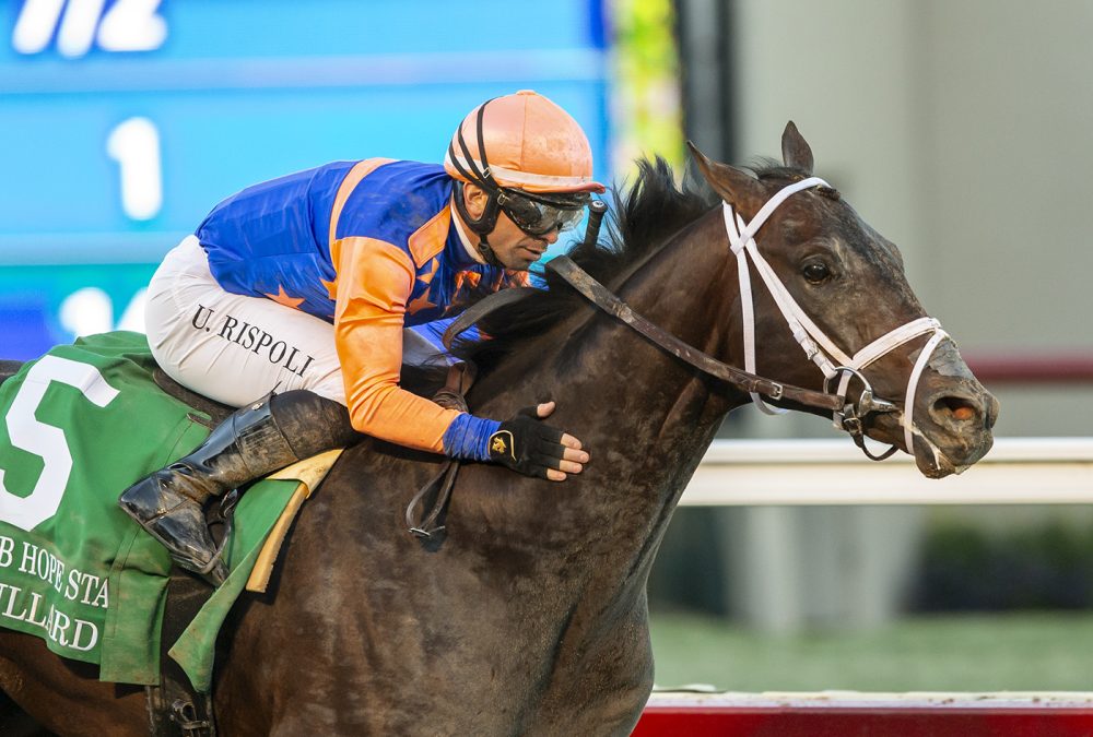 Bullard - Grade III $100,000 Bob Hope Stakes - Del Mar - Benoit Photo