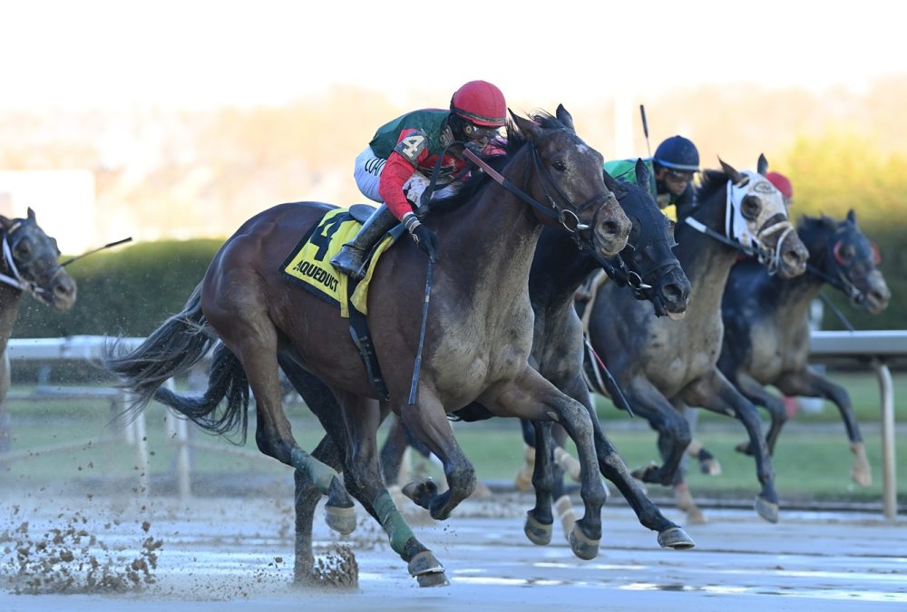 Cicciobello - Coglianese Photo