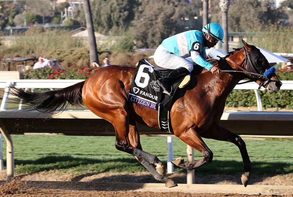 Citizen Bull - Breeders Cup Juvenile - Susie Raisher