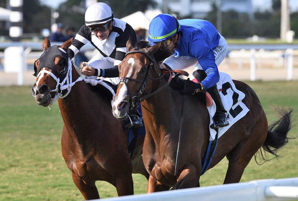 Civetta - Wait a While Stakes - Ryan Thompson/Coglianese Photo