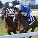 Civetta - Wait a While Stakes - Ryan Thompson/Coglianese Photo