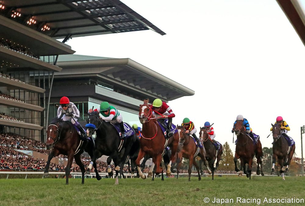 Do Deuce (outside) - Japan Cup G1 - photo credit Japan Racing Association